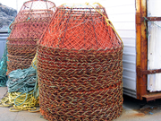 Newfie baskets